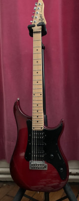 vigier.jpg