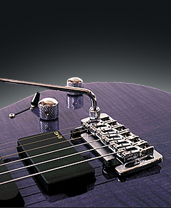 Trem2010.jpg